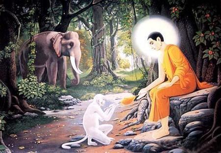 用对方法事半功倍 婚姻先生出轨的应对