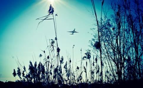 古典韵味的女孩名字有哪些好听 古典韵味的女孩名字精选四个字