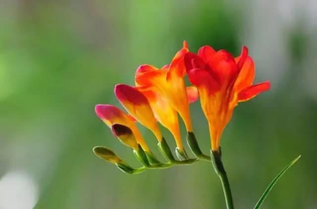 一个简单的控制人的咒语增加安全感和男友和好