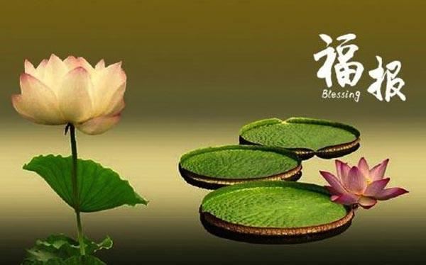 给小孩子起名字大全