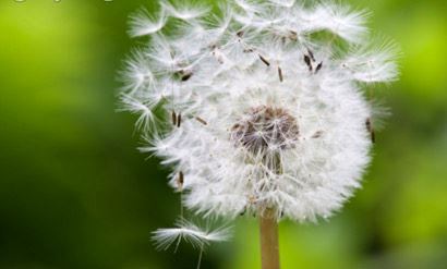 煤炭公司起名大全免费带瑞的