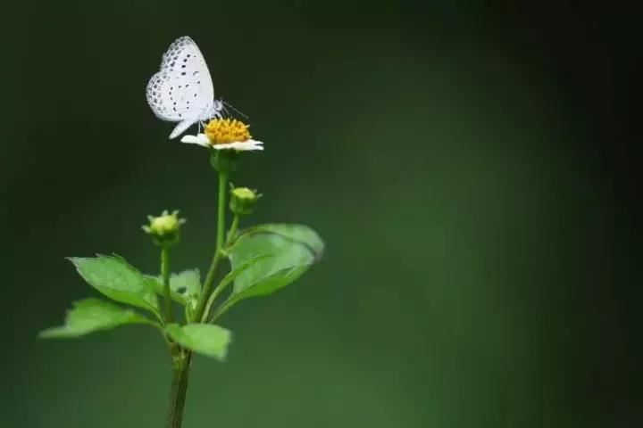 小眼浓眉单眼皮帅哥 小眼浓眉单眼皮帅哥图片
