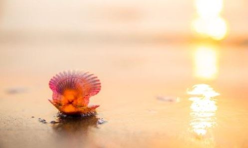 日常生活可以使用的去霉运最灵的方法