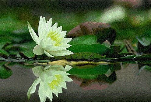 十二星座幸运资料十二星座幸运数是什么