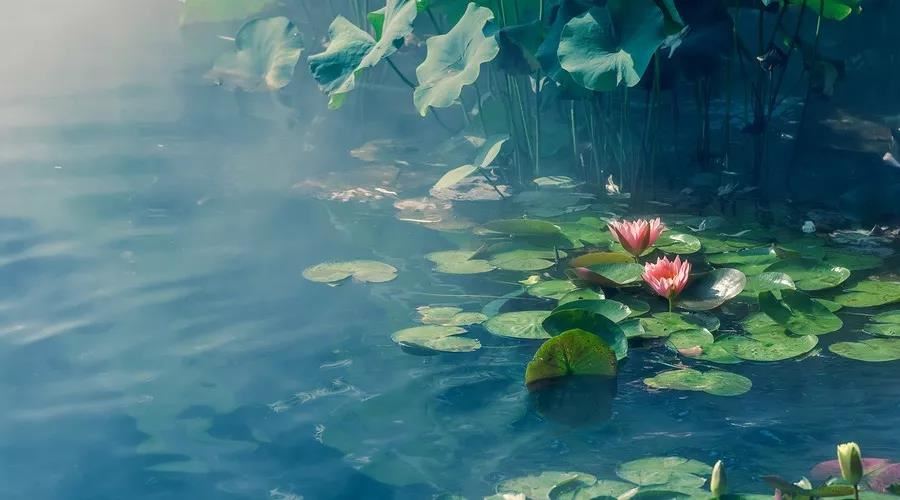 超度婴灵怎么做？堕胎超度必须本人亲去寺庙吗?