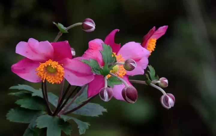 为死去的孩子超度 可以减轻自己的罪障