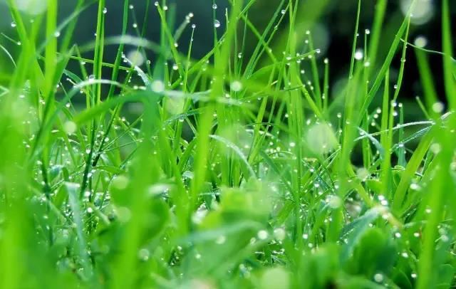 被超度的亡灵去哪了？现实中的灵异事件...