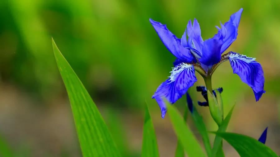 怎样看自己的八字命格