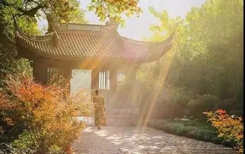 情商聊天app推荐，这2款都不错