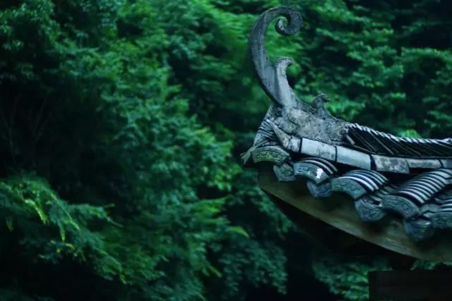 12星座女孩儿照片十二星座姑娘图片