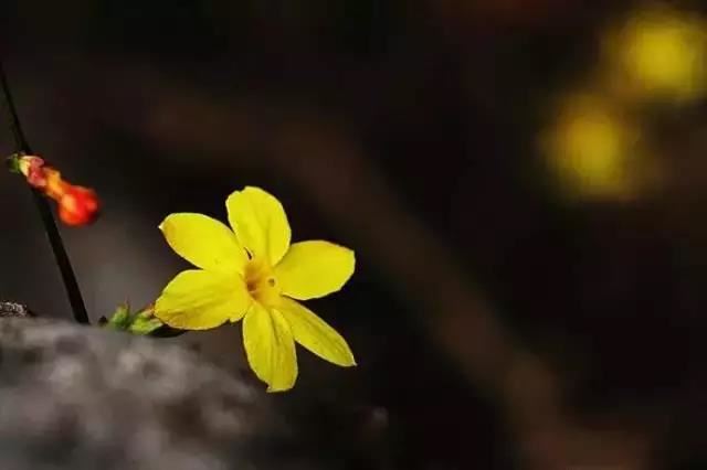 塔罗牌感情牌阵大全 塔罗 感情 牌阵