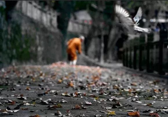 牛郎织女星座位置图 手机对着天空辨认星座app