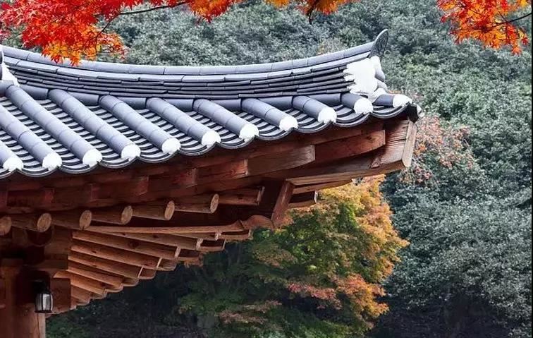 超度小动物亡灵诵地藏经,如何让你的宠物得到超度？