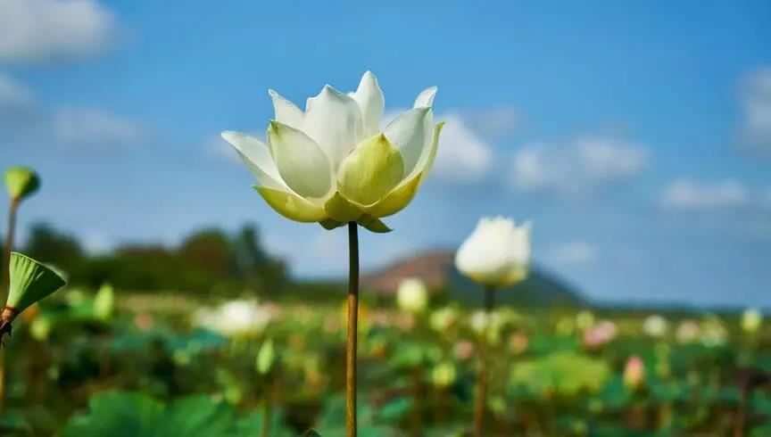 霸气的男孩的名字有哪些字母 霸气的单字名字男