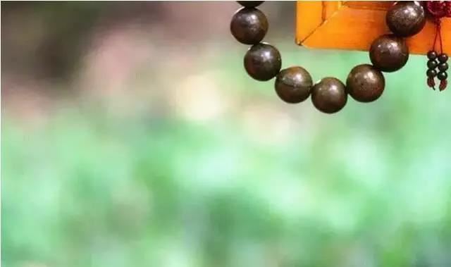 属狗人五行属什么, 水狗之命向往自由？