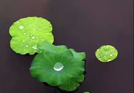 和合术为什么需要照片?照片有什么用?