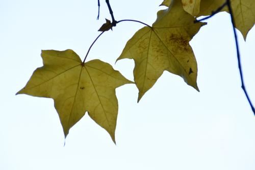 虚云老和尚还阴债,令人敬服的修行之路