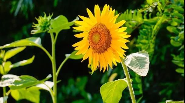 适合堕胎婴灵法名