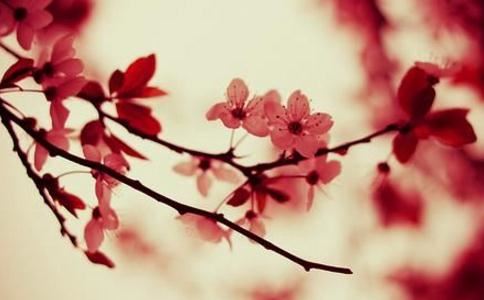 动漫名字俩字大全 动漫名字男生昵称两字可爱