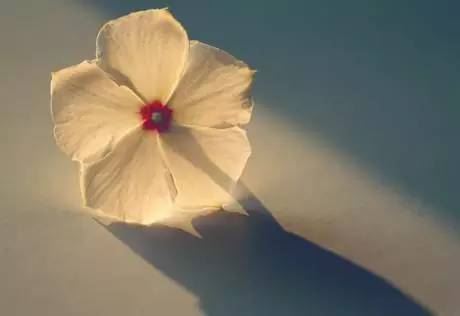 友谊需要珍藏，人际关系的金句