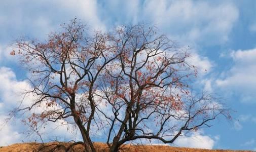 冰箱怎样摆放才不会漏财？