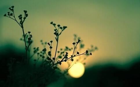 月老74签什么意思 月老七十四签的详细解