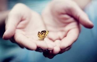 史姓的名字女孩属虎好吗 史姓的好名字有哪些呢男孩子