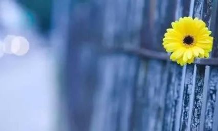 马姓带火的名字女孩子 马姓带水的名字女孩子