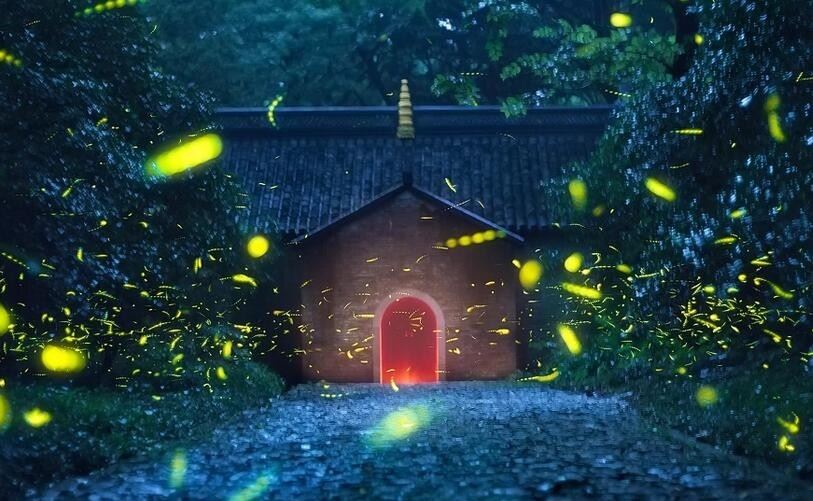 朋友种生基后算命，发现自己的命运有了超大改变