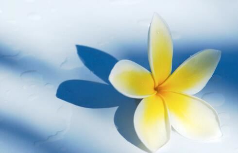 怎样学说话练口才 锻炼出色的口才的方法