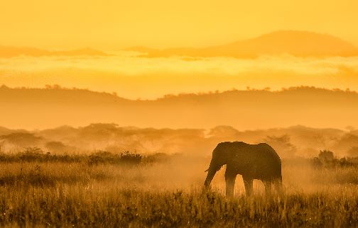 姓何给小孩子取什么名字好