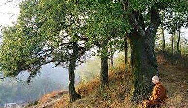 巨蟹男交往的重要性