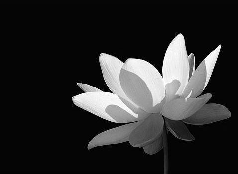 给宝宝取名字姓张