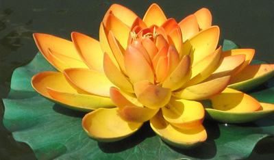 女友要和我分手做和合法事有用吗?和合法事能挽