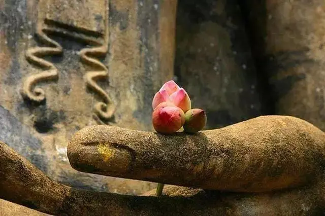 免费抽签观音菩萨签 抽签观音菩萨签上签