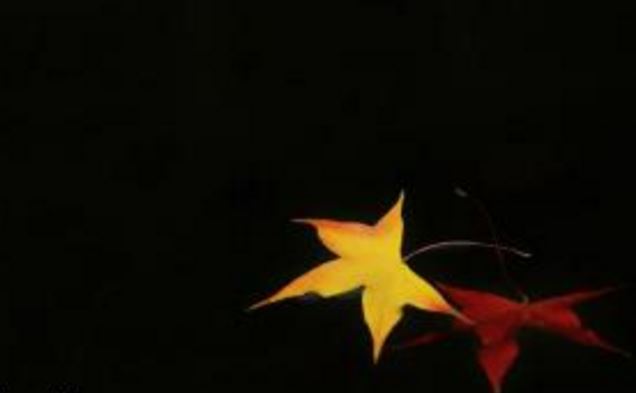 通过借势来开运改运，天时地利人和