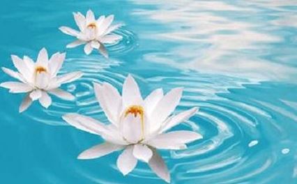 装饰麒麟神兽风水知识大全，装饰麒麟神兽风水知识讲解？