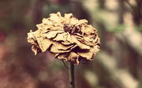 催财最灵的方法，改变家中风水布局