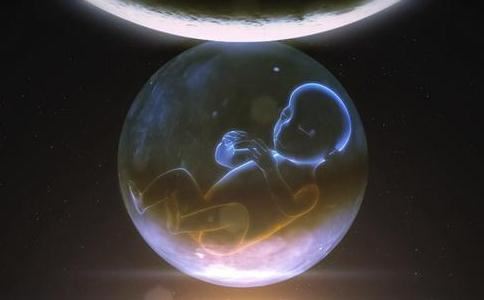 大师说种生基选址一般到注意这两个地方