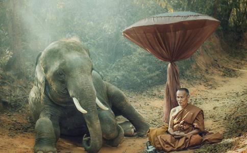 两人的名字最佳配对 两个人名字很配是一种什么体验