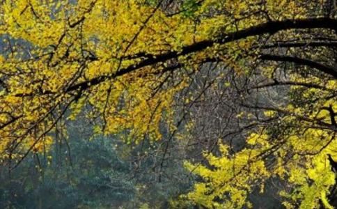 怎么给打掉的宝宝超度积攒功德