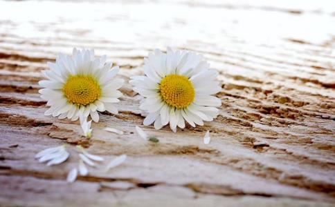 孙姓男孩取名四字成语大全集 孙姓男孩取名四字成语有哪些