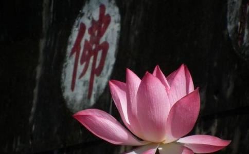 人际交往重要吗，社恐人士也逃不开必要的社交