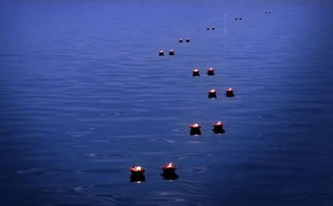 天蝎座女最配星座和天蝎座女最配的星座