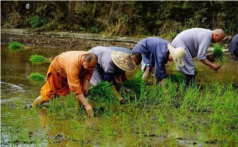 有圣女知晓圣人：探寻圣人的故事