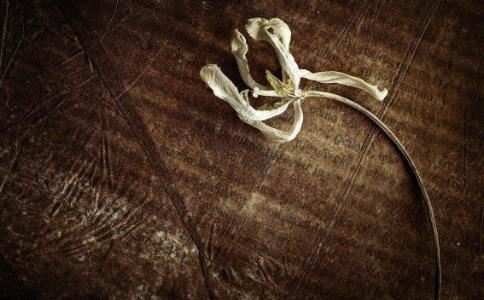 12星座匹配程度12星座匹配值