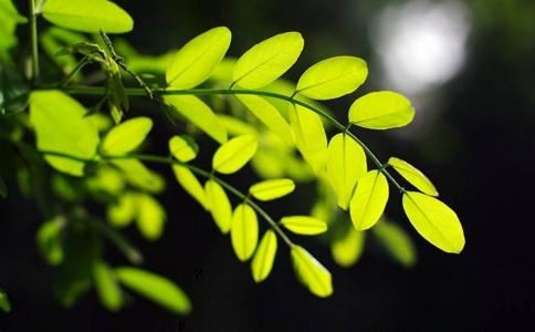 射手座最大的特点是啥