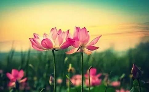 算命软件真的可靠吗？