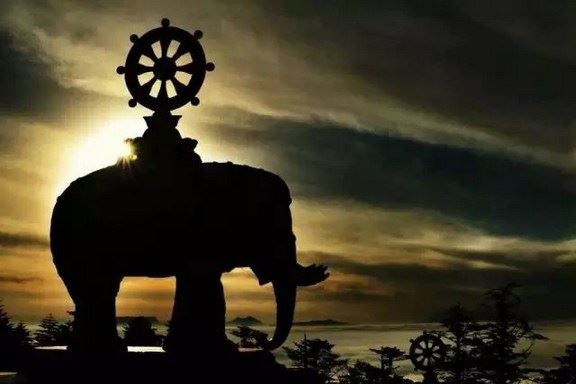 介绍4本超度经书，在家也能祷告