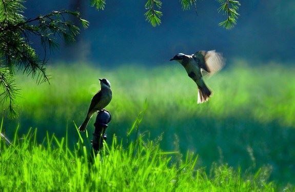 男人想挽回你 会有哪些表现